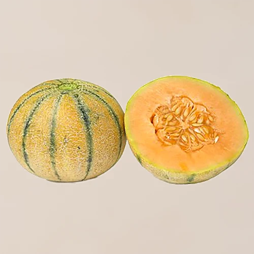 Striped Musk Melon - 1pc