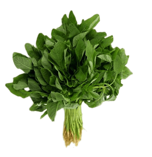Amaranth Leaves - Green  முளைக்கீரை