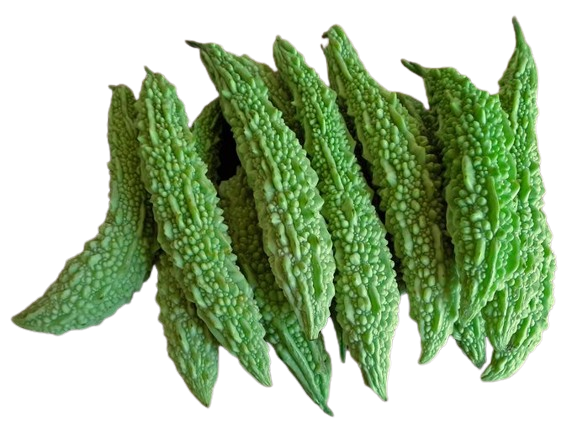 Bitter Gourd