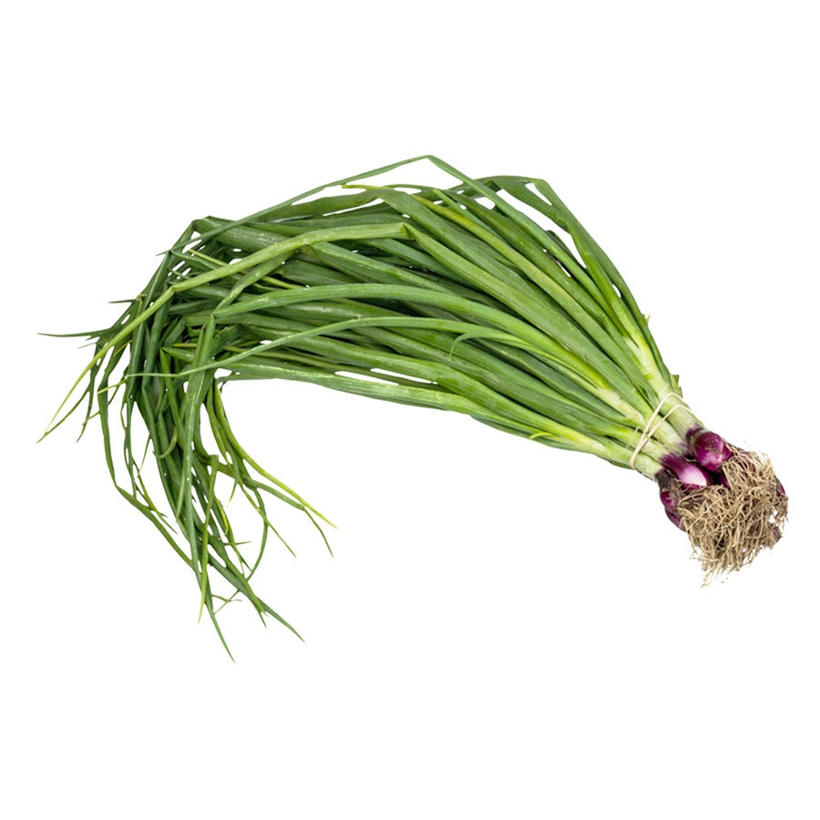 Spring onion