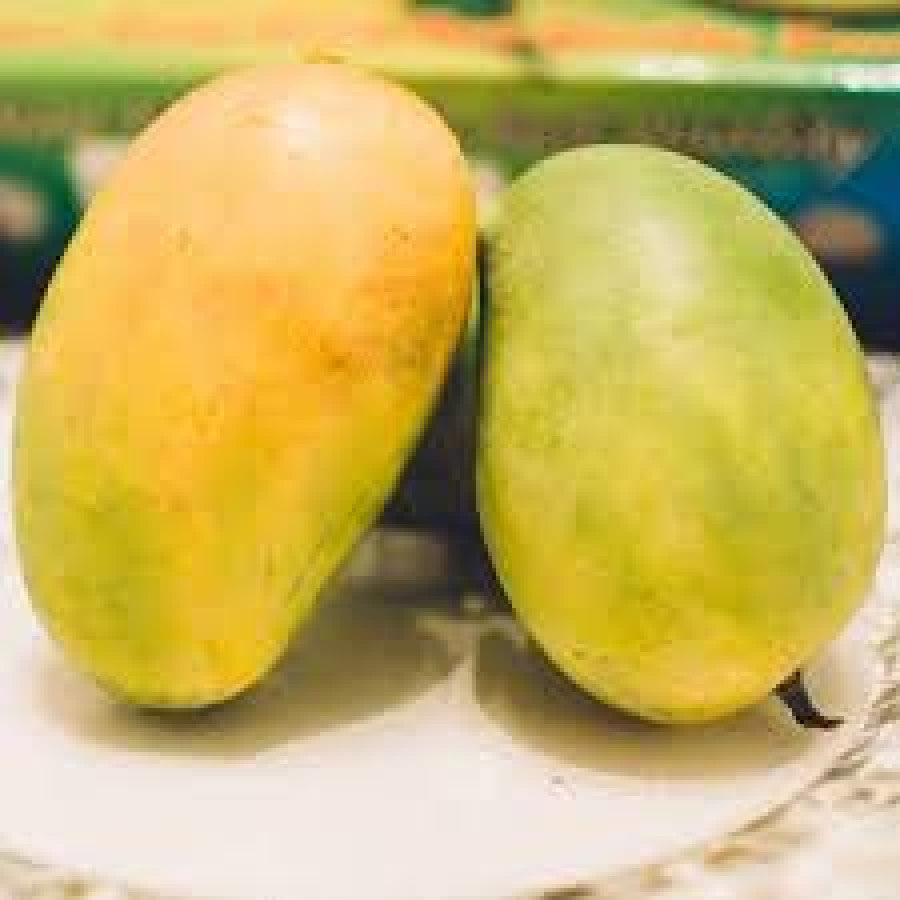 Mango Banganapalli மாம்பழம் - பங்கனப்பள்ளி