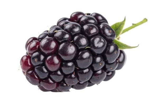 Exotic Blackberry