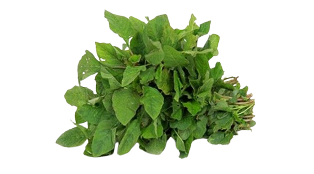 Amaranthus Aritis அரைக்கீரை