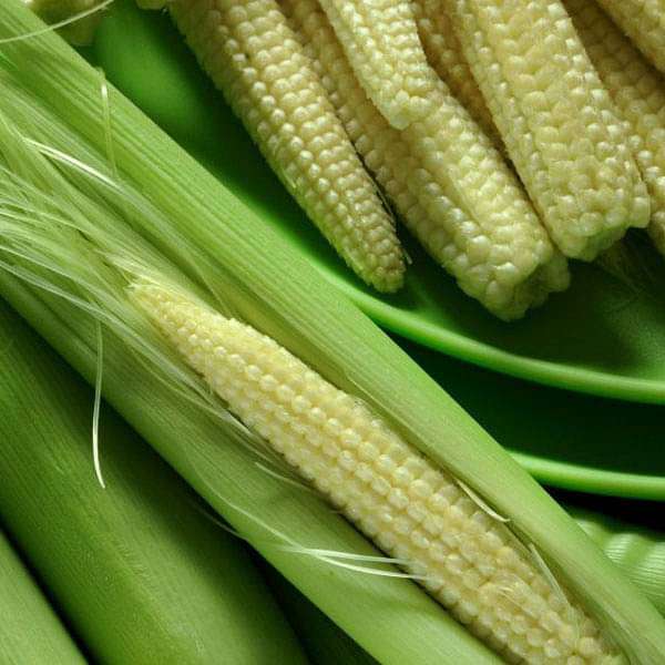 Baby Corn - பேபி கார்ன்