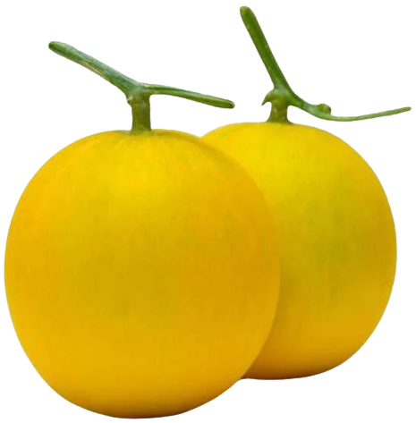 Dosakai - தோசைக்காய்