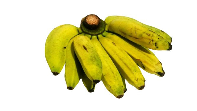 Hill Banana
