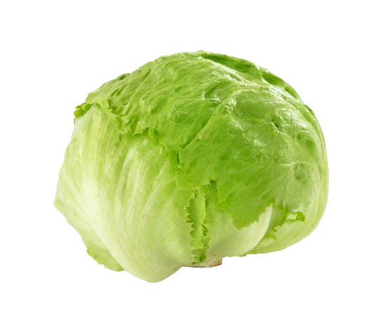 Iceberg Lettuce