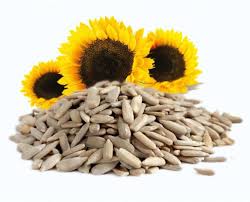 Organic Sunflower Seeds - Pro Nature