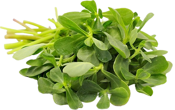 Purslane Leaves (Paruppu Keerai)