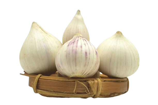 Single Clove Garlic