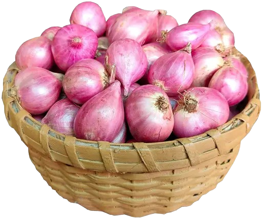 Onion - Small
