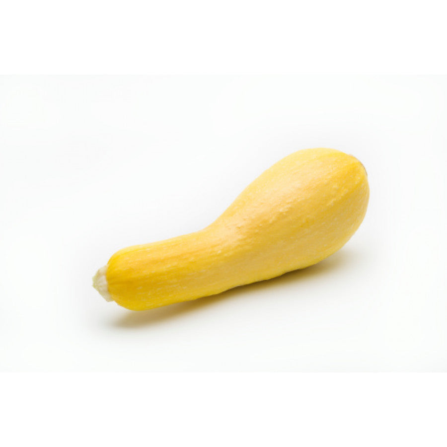 Zucchini - Yellow