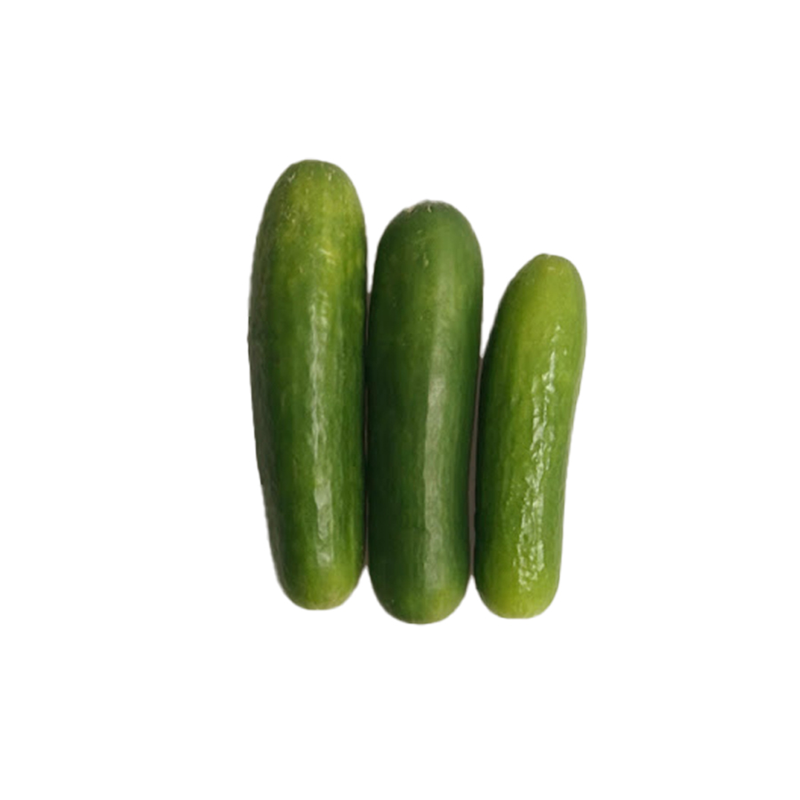 English Cucumber