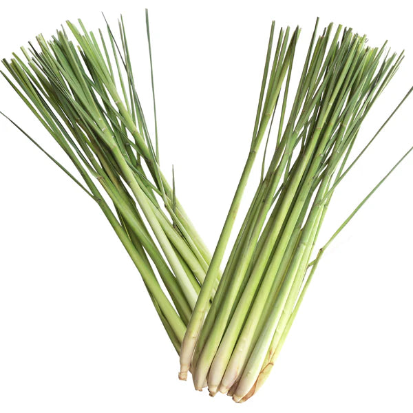 Lemon Grass - லெமன் கிராஸ்