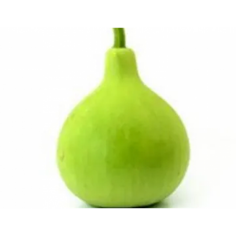 Bottle Gourd - Natti