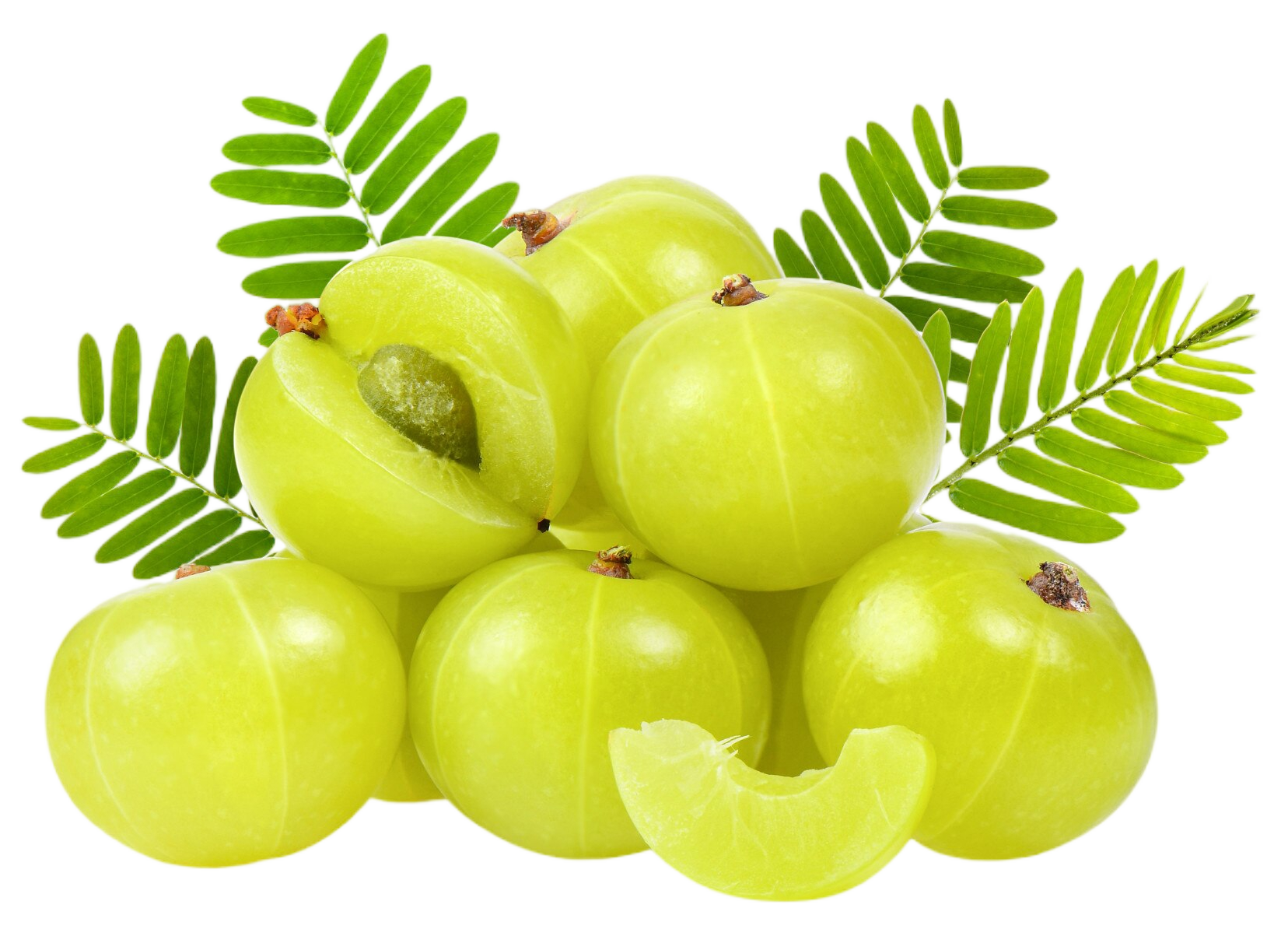 Gooseberry – OrgFarm