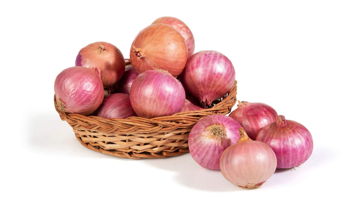 Onion - Big