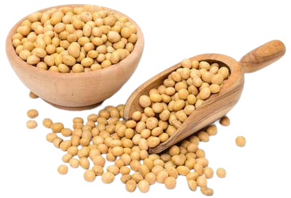 Soya Bean Whole