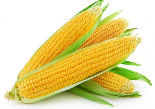 Sweet Corn